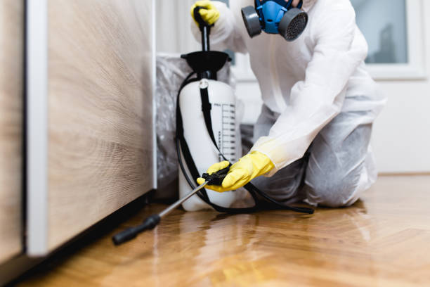 Best Termite Control Services  in Rayville, LA