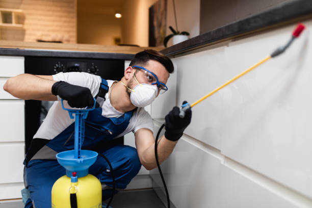 Best Insect Control  in Rayville, LA