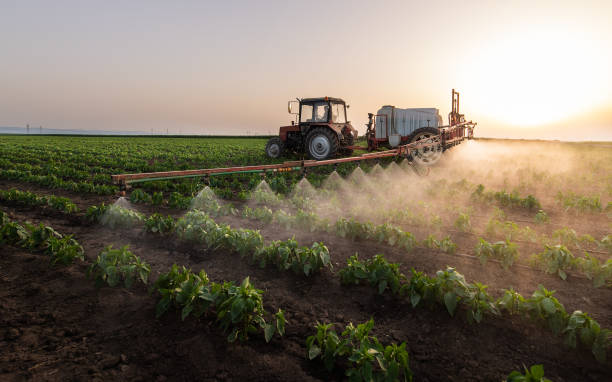 Reliable Rayville, LA Pest Control Solutions