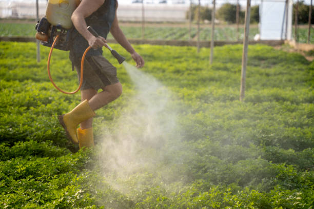 Best Affordable Pest Control Services  in Rayville, LA