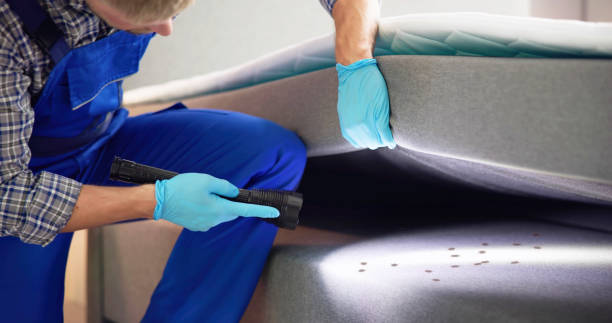 Best Bed Bug Extermination  in Rayville, LA