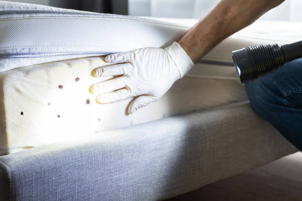 Best Commercial Pest Control Services  in Rayville, LA