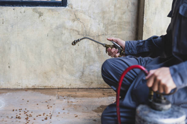 Best Pest Removal Services  in Rayville, LA