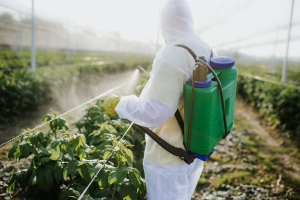 Best Flea Control Services  in Rayville, LA
